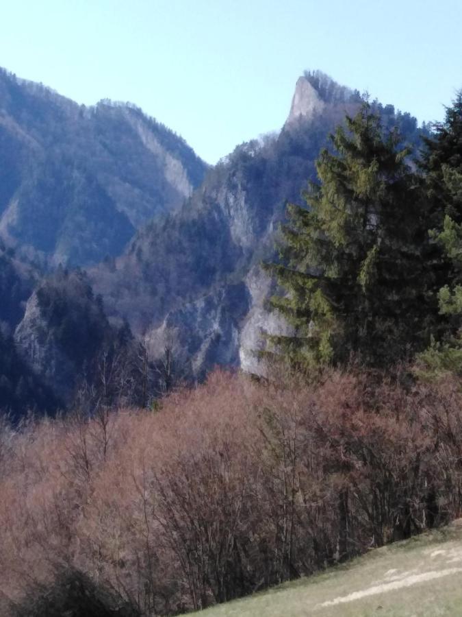 Chata Holica Pieniny Lesnica 外观 照片