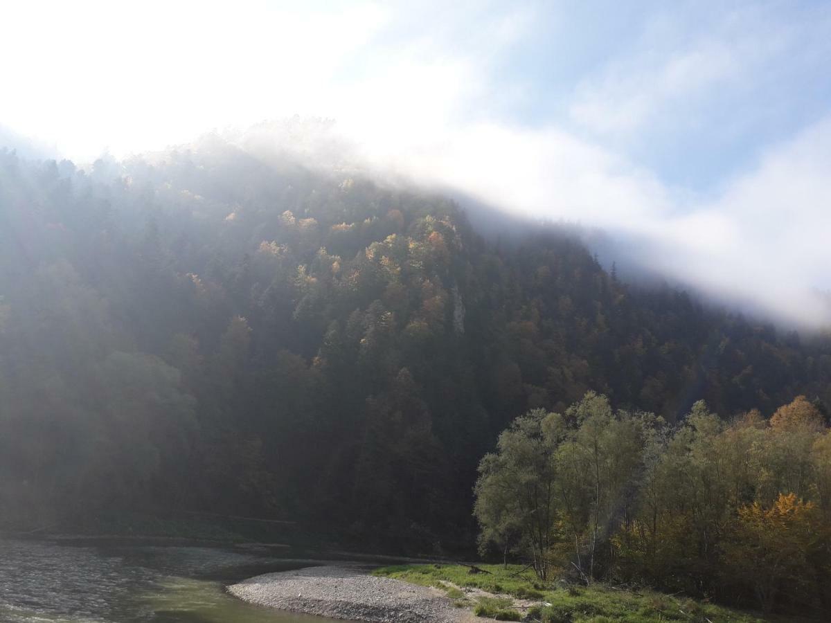Chata Holica Pieniny Lesnica 外观 照片