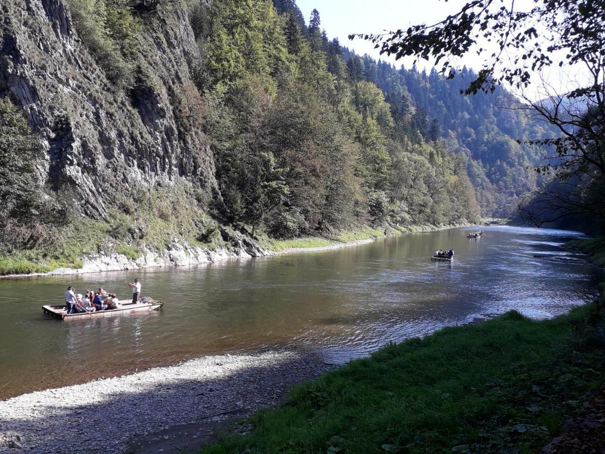 Chata Holica Pieniny Lesnica 外观 照片