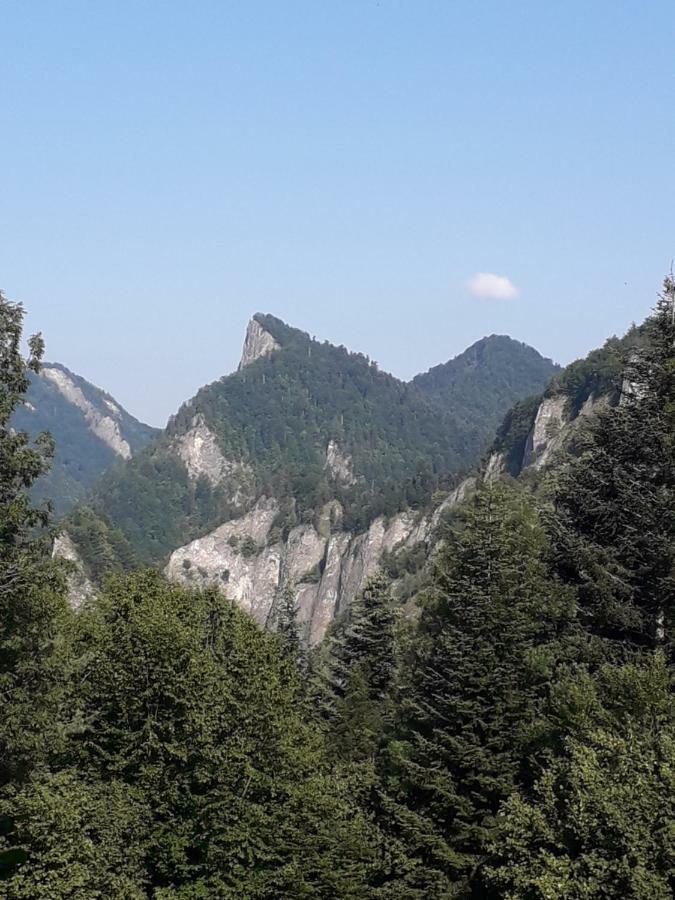 Chata Holica Pieniny Lesnica 外观 照片