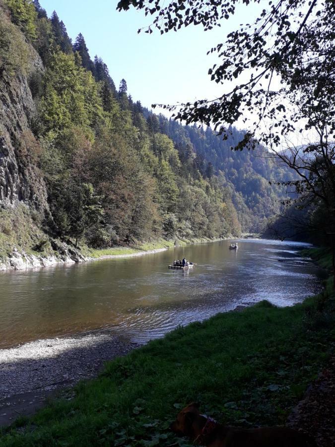 Chata Holica Pieniny Lesnica 外观 照片