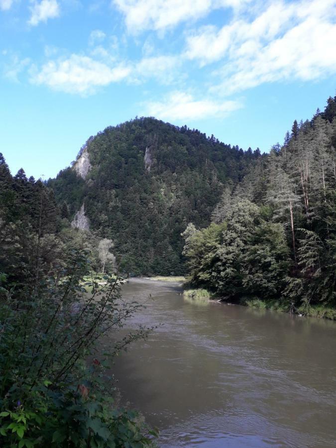 Chata Holica Pieniny Lesnica 外观 照片