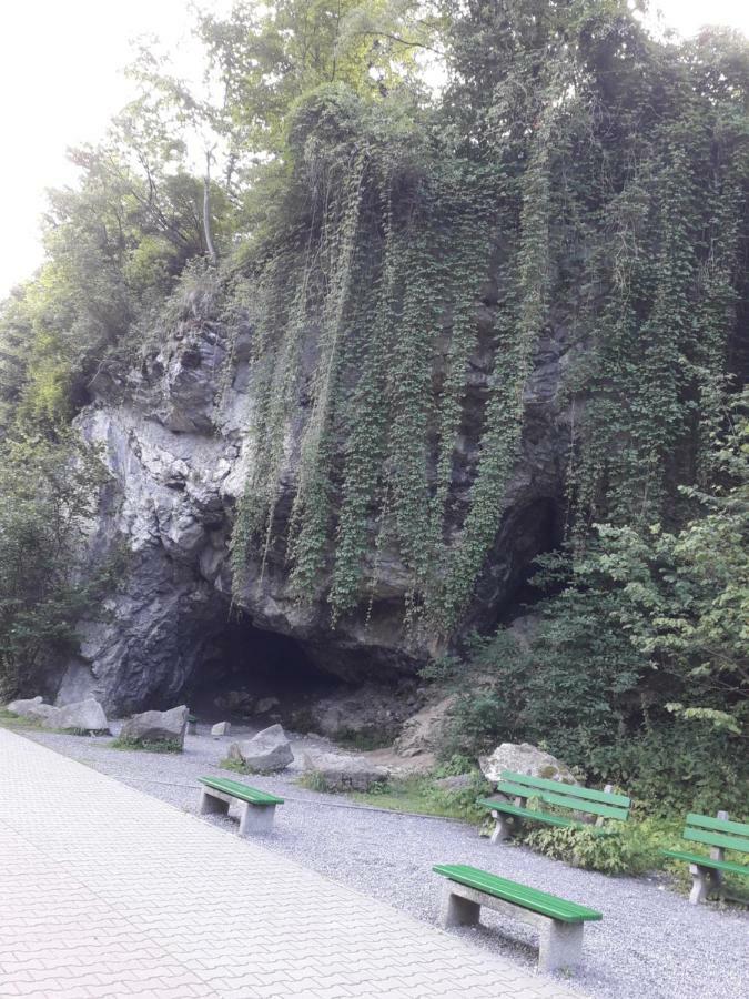 Chata Holica Pieniny Lesnica 外观 照片