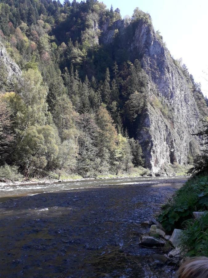 Chata Holica Pieniny Lesnica 外观 照片
