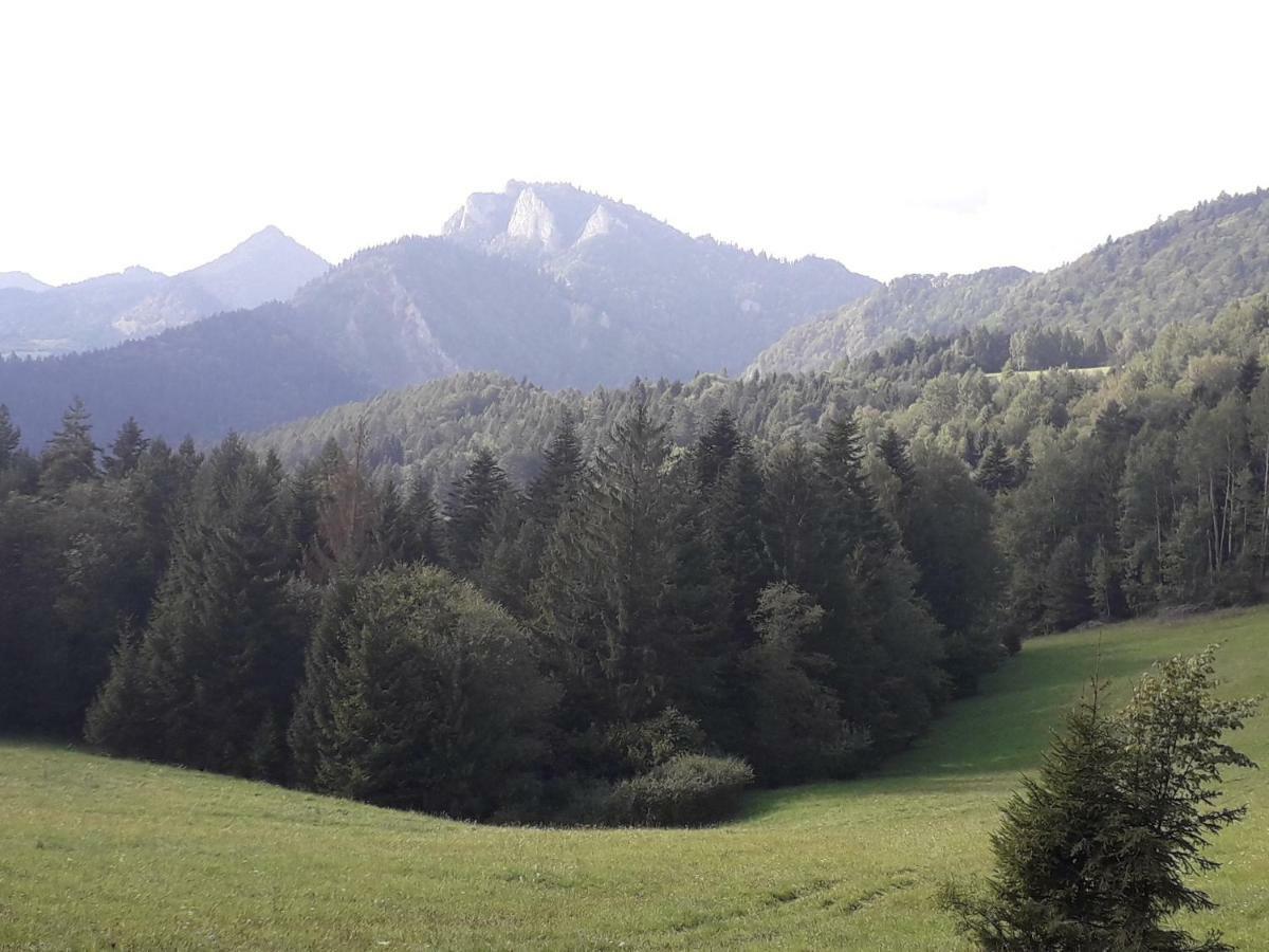 Chata Holica Pieniny Lesnica 外观 照片